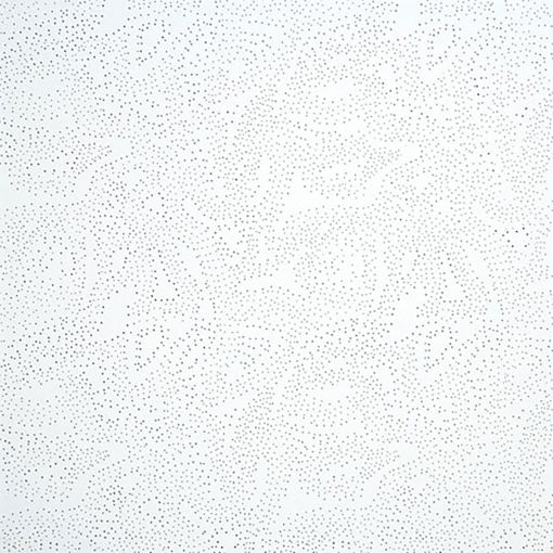 OWA Sternbild Deckenplatte weiß A2 2