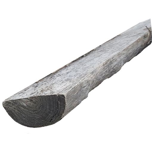 T&J Halbriegel ROBINIE naturgewachsen 2