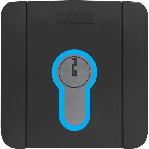 TraumGarten Schlüssel-Schalter für Doppeltorantrieb 2