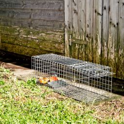 Windhager Marderfalle Schädlingsbekämpfung 60x18x20 cm 3