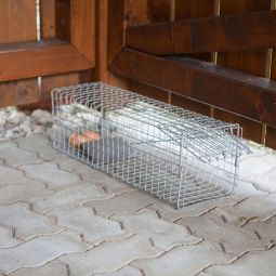 Windhager Marderfalle Schädlingsbekämpfung 60x18x20 cm 4