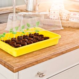 Windhager Haube für Aussaat-Schale transparent 3