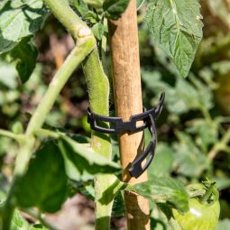 Windhager Tonkinstäbe Pflanzstab Bambus 5