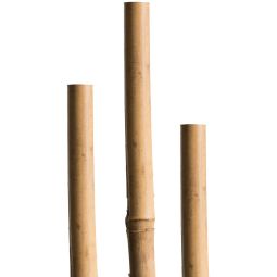 Windhager Tonkinstäbe Pflanzstab Bambus 6