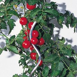 Windhager Tomaten-Spiralstab 150 cm glanzverzinkt 3