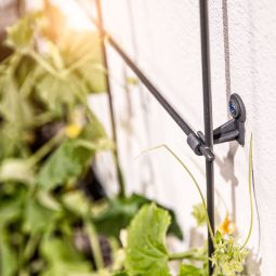 Windhager Gitterspalier Rankhilfe Pflanzengitter anthrazit 4