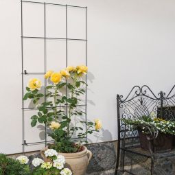 Windhager Gitterspalier Rankhilfe Pflanzengitter anthrazit 3