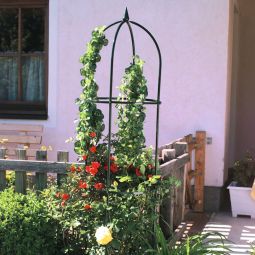 Windhager Obelisk Rankhilfe, grün 193x42cm 3