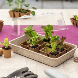 Windhager Anzuchtschale ECO natur 382x242 4