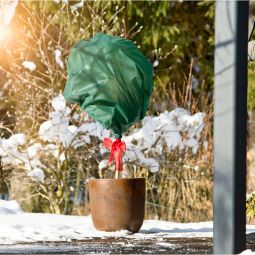 Windhager Winter-Vlies DEKO 10x1,6 m 4