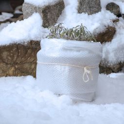 Windhager Winter-Kälteschutzfolie Frostschutz 5x1m 60µm 5