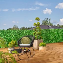 Windhager Sichtschutzhecke Labrusca 5