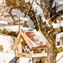 Windhager Vogelfutterhaus Untersberg Futterhaus Futterstation 3