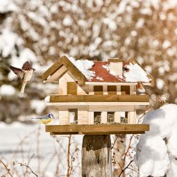 Windhager Vogelfutterhaus Landhaus XL Futtersilo 3