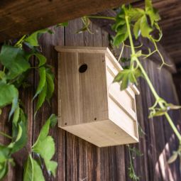 Windhager Nistkasten Twinhouse Sparrow Vogelhaus 4
