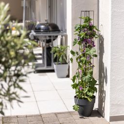 Windhager Ranksäule 2-teilig anthrazit 3