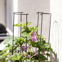 Windhager Ranksäule 2-teilig anthrazit 5