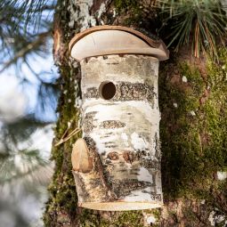 Windhager Nistkasten Wildkogel 3
