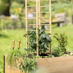 Windhager Holz-Rankhilfe Turm 29x29x145 cm 6