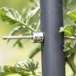 Windhager Edelstahlseil-Rankhilfe 7