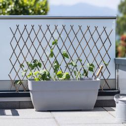 Windhager Weide-Spalier Rankhilfe ausziehbar 6