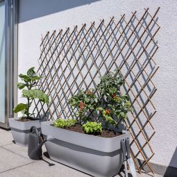 Windhager Weide-Spalier Rankhilfe ausziehbar 8