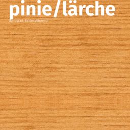 Remmers Dauerschutz-Lasur UV 10