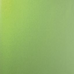 Roto Sichtschutzrollo Apfelgrün 2-R25 3