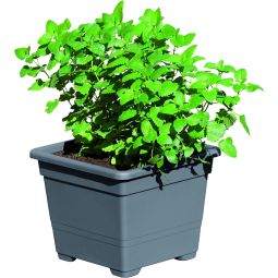 T&J Pflanzkasteneinsatz DANIELA 3