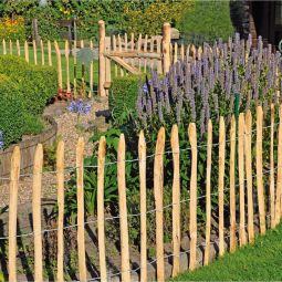 T&J ROLLO-Lattenzauntor Staketenzaun Tor Kastanie 3