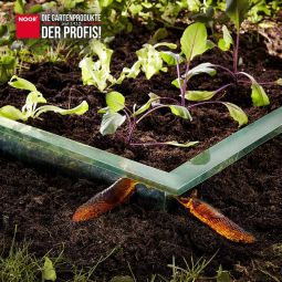 NOOR Schneckenbarriere 20 cm x 4