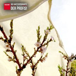 NOOR Winterschutz-Thermomantel XL PRO mit 4