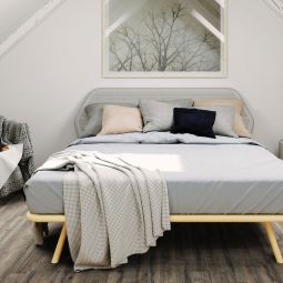 HARO Laminat Sonderedition NKL31 TC 6