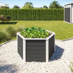 weka 6 Eck Hochbeet 669 5