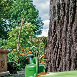 Rewatec Arves Regentonne Evergreen dunkelbraun 4