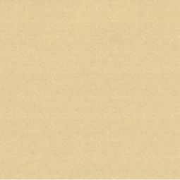 BLANKE Fliesenschiene Aluminium goldfarben matt 4