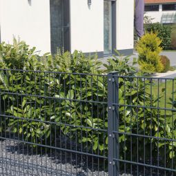 Doppelstabmatte anthrazit (RAL 7016) 3