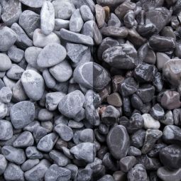 Zierkies Donaukies 4