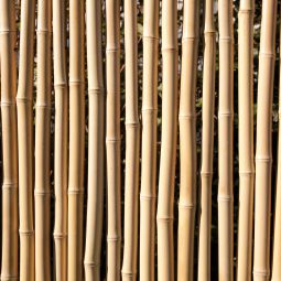 TraumGarten Sichtschutzzaun BAMBU Rechteck Bambus 3