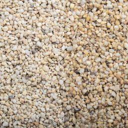 Zierkies Taunuskies 3