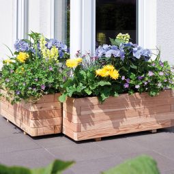 TraumGarten Pflanzkübel CORA Nadelholz viereckig 3