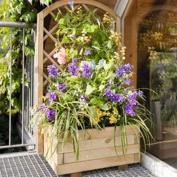 TraumGarten Rankgitter CORA Bogen Rankhilfe 4