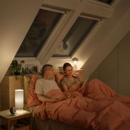 NEU: VELUX Solar-Rollladen SSL 0100K 5