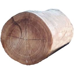 T&J Baumstammbank/Baumstumpf/Sitz- oder Spielpoller ROBINIE naturbelassen Robinien-Spielpoller naturbelassen, entsplintet und geschliffen, 100 oder 150 cm lang, Ø 27 oder 32 cm – ideal als Sitz- oder Spielelement