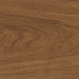 HARO Parkett Landhausdiele 4000 TC Plaza 240 4V Bernsteineiche Markant naturaLin plus Naturgeölte Diele 2200x220 mm in warmer Optik, für Fußbodenheizung geeignet