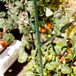 Windhager Tomaten-Rankturm Rankhilfe für Töpfe 5
