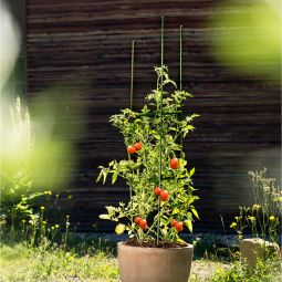 Windhager Tomaten-Rankturm Rankhilfe für Töpfe 4