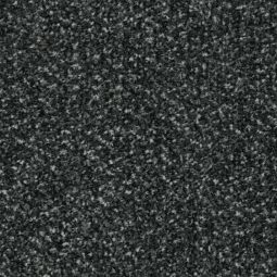 forbo Fußmatte Fußabstreifer Coral Classic 4701 Anthracite reduziert Schmutz & Feuchtigkeit im Wohnbereich, verschiedene Größen