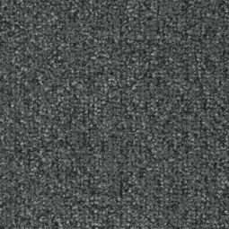 forbo Fußmatte Fußabstreifer Coral Classic 4751 silver grey reduziert Schmutz & Feuchtigkeit im Wohnbereich, verschiedene Größen
