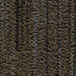 forbo Fußmatte Fußabstreifer Coral Brush 5764 petrified grey für hohen Laufverkehr geeignet, verschiedene Größen